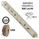 Ledstrip 220V 8W/m IP65 voor buiten SMD2835 120 leds/m (snede 10 cm)