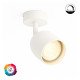 LED Wall & Ceiling Light 8W Adjustable TRIAC 24° CRI+98