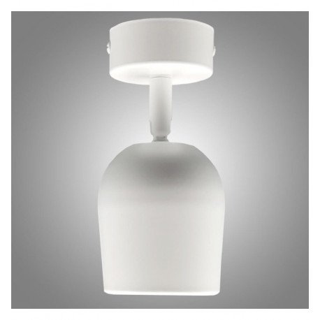 LED Wall & Ceiling Light 8W Adjustable TRIAC 24° CRI+98