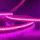 LED-strip COB 24V magenta 10W/m voor slagerijen, snede 5 cm