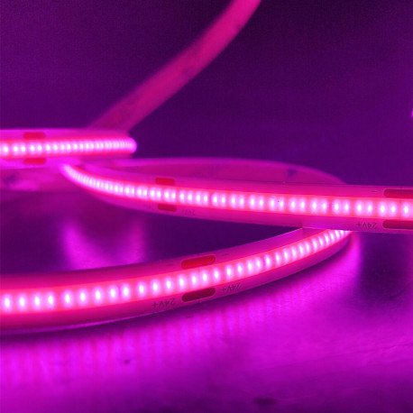 Tira LED COB 24V magenta 10W/m para carnicerías, corte 5cm