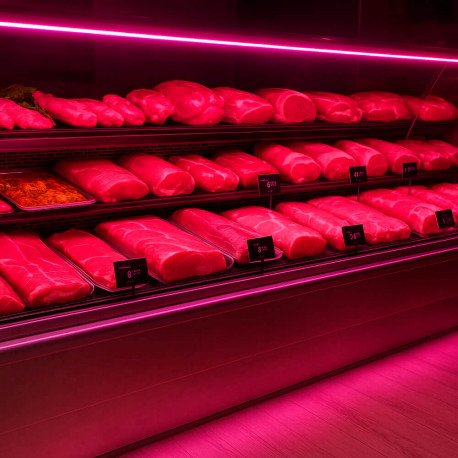 LED COB Strip Magenta 24V 10W/m, 5cm Cut