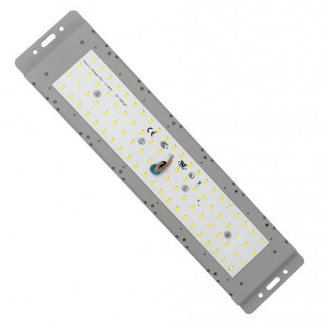 Módulo LED 50W exterior óptica asimétrica 136ºx78º IP65