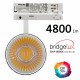 led-spot 40W voor 3-fase carrilsysteem NEW MAYA 3CCT UGR13 24°-60° wit