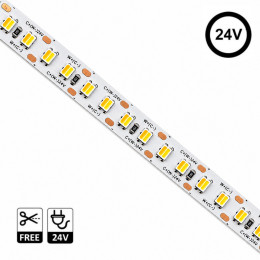 Tira LED 24V 20W/m 5CCT Seleccionable SMD2835 Free Cut | 168 LED/m | Rollo 5 Metros