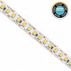 LED Strip 24V 20W/m 5CCT SMD2835 Free Cut 5m