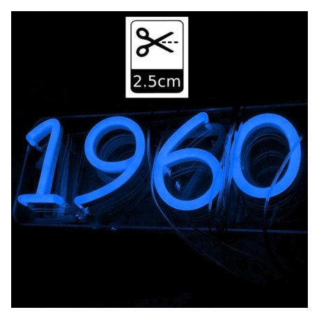 Led-neonstrip blauw 6 mm 12V 5 m + voeding