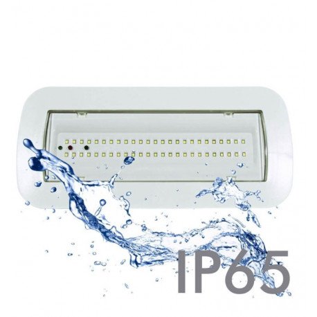 LED Noodverlichting 4W IP65 met automatische test en plafondkit