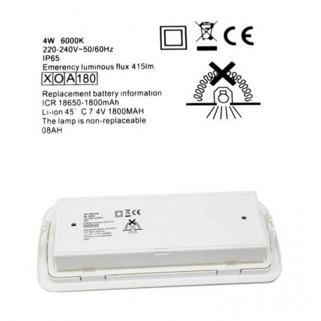 LED Noodverlichting 4W IP65 met automatische test en plafondkit