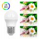 LED-lamp 6W E27 G45 220° OSRAM Chip DURIS sin flicker
