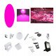 Rosa filter voor LED dicroïsche decoratieve armatuur