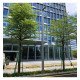 Led-straatverlichting WANDA 50W voor buiten 4-6 m 7500 lm