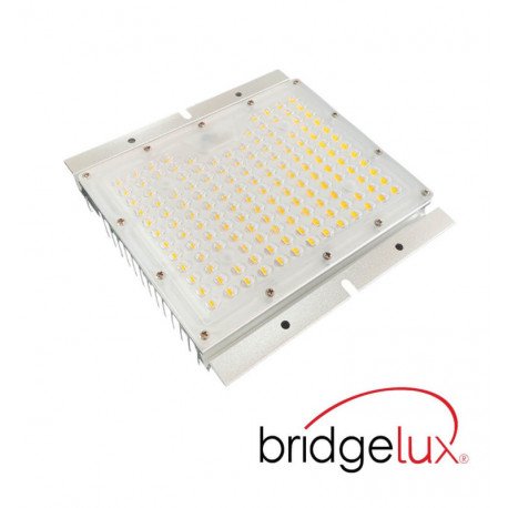 Módulo LED 65W para farolas asimétrico 78x156 alta luminosidad
