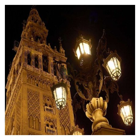 Módulo LED 65W para farolas asimétrico 78x156 alta luminosidad