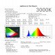 LED-module 65W voor asymmetrische straatverlichting 78x156 hoge lichtopbrengst