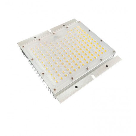 Módulo LED 65W para farolas asimétrico 78x156 alta luminosidad