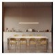 LED Pendant Strip OSLO Double IP20 Indoor 24V