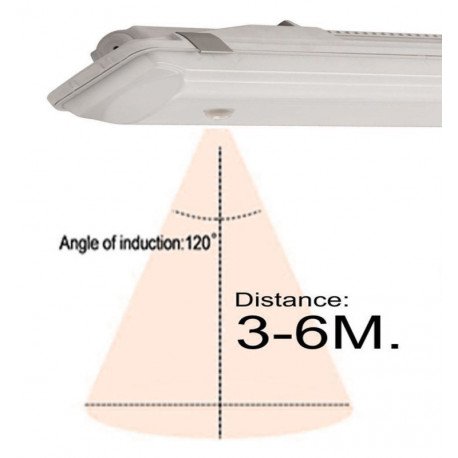 Led-buis waterdicht met PIR-sensor 25W-44W 150 cm IP66