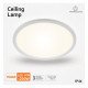 Plafondlamp LED opbouw 20W neutraal wit 4000K chip Lumileds