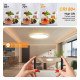 Plafón LED 18W RGB+CCT con control remoto y chip Lumileds