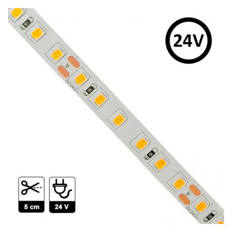 Tira LED 24V 12W/m para interior, 5m IP20 SMD2835