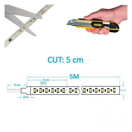 Tira LED 24V 12W/m para interior, 5m IP20 SMD2835