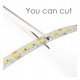 Ledstrip 24V 12W/m voor interieur, 5m IP20 SMD2835