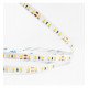 Ledstrip 24V 12W/m voor interieur, 5m IP20 SMD2835