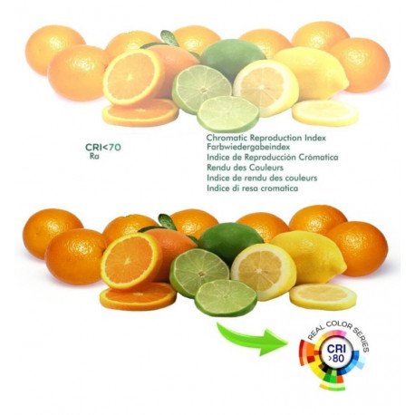 Downlight LED 7W circular orientable blanco CCT seleccionable