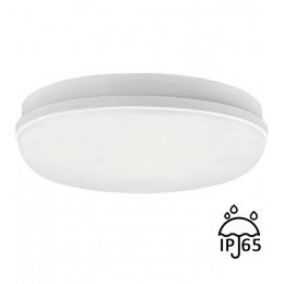 Plafondlamp led 12W IP65 voor binnen en buiten (plafond en wand)
