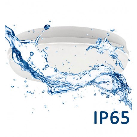 Plafondlamp led 12W IP65 voor binnen en buiten (plafond en wand)
