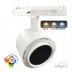 Ledschijnwerper 40W monofasig Roma CCT instelbaar optiek 24°-60° UGR13