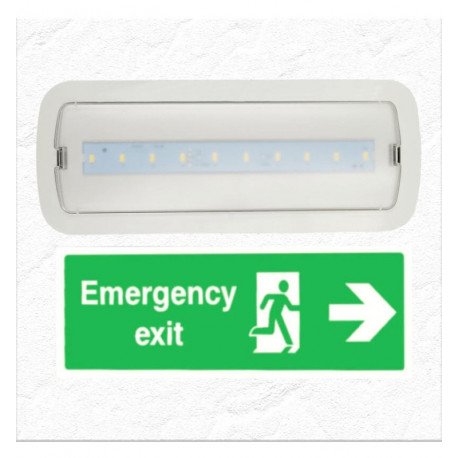 LED noodverlichting 4W met plafondkit en auto-test | IP20 | 6500K