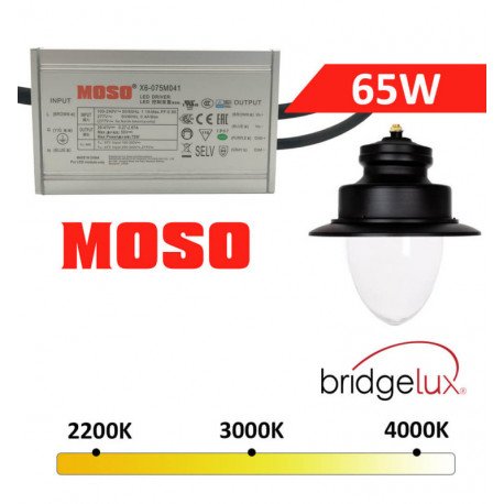 Farola LED 65W exterior aluminio alta eficiencia 210Lm/W