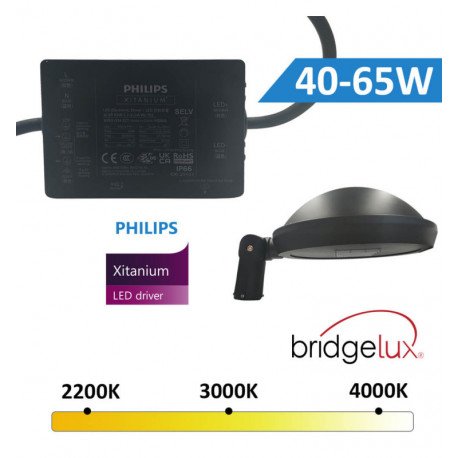 Farola LED 65W exterior aluminio alta eficiencia 210Lm/W