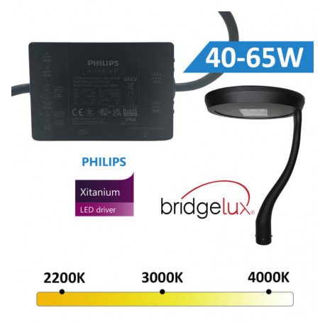 Farola LED 65W exterior aluminio alta eficiencia 210Lm/W