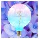 LED filament lamp 4W E27 G125 amber (decoratie)