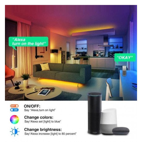 Ledstrip 24W 12V SMART WiFi RGB+CCT dimbaar 5 m