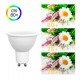 Bombilla LED GU10 6W 110° OSRAM chip DURIS E sin flicker