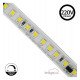 Ledstrip 220V 20W/m IP67 voor buiten, per 10 cm te knippen
