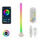 LED Floor Lamp RGBW Digital 10W 150cm with App & Remote