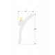 Elips LED-moldure van polystyreen (2 m) voor indirecte verlichting