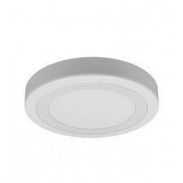 LED Panel Circular 20W with Converter Ring (OSRAM)