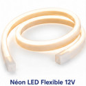 Néon LED Flexible 12V