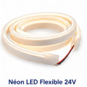 Néon LED Flexible 24V